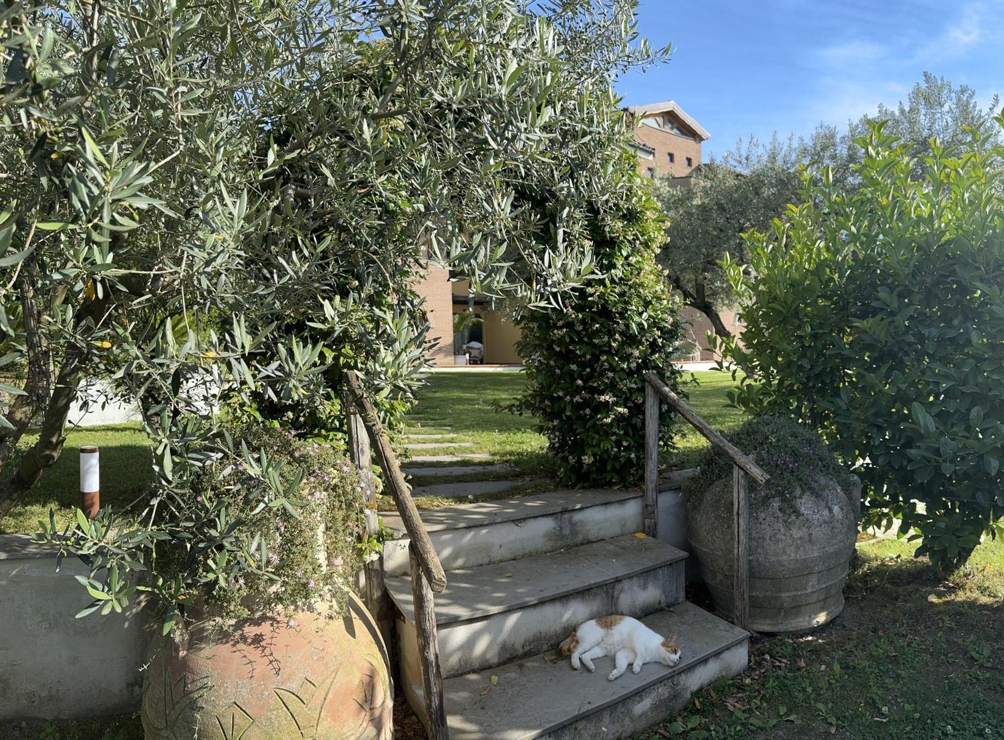 Villa C Luxury Estate SantʼAntonio Abate Exteriör bild